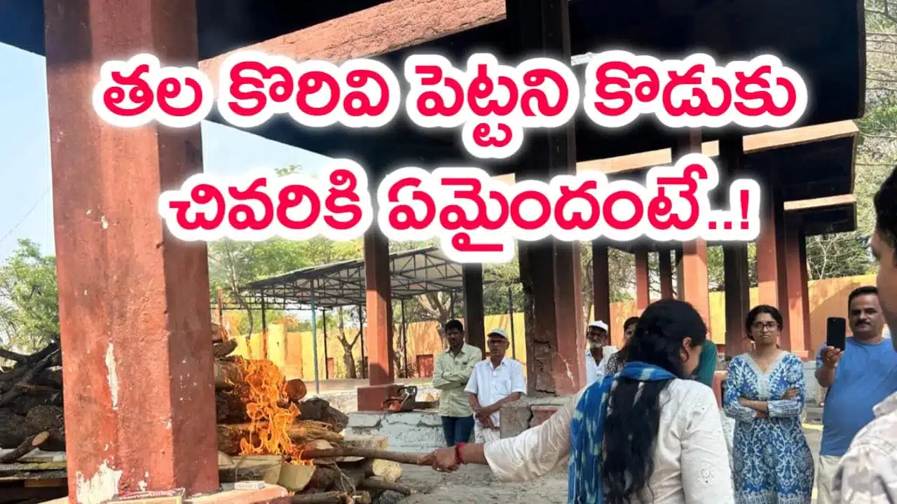 ts news