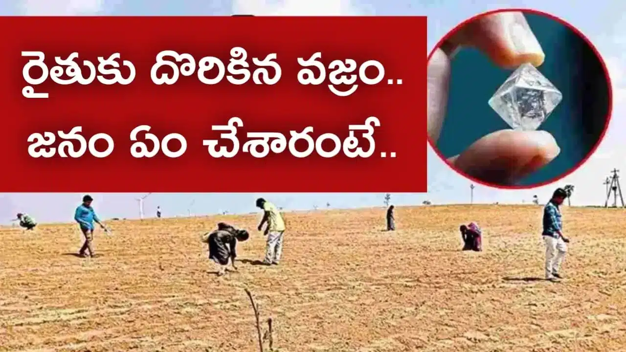 Andhra Pradesh Diamond Hunt