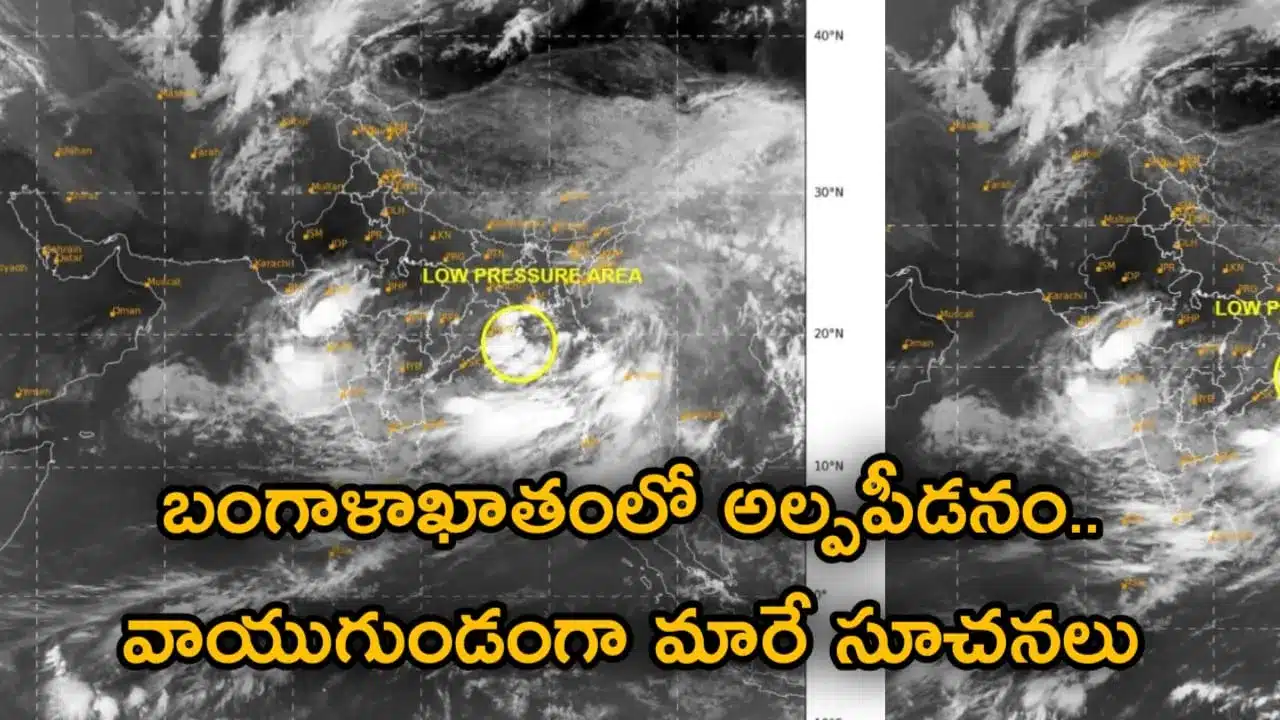 Cyclone Alert