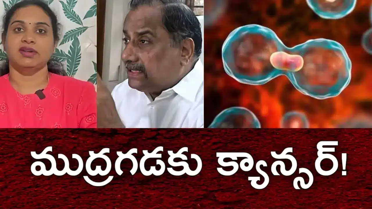 , Andhra Politics