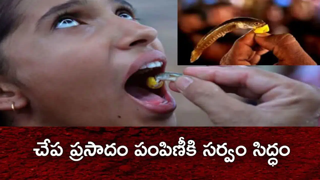 Asthma Treatment