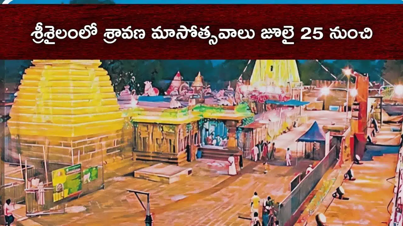 Temple Updates,