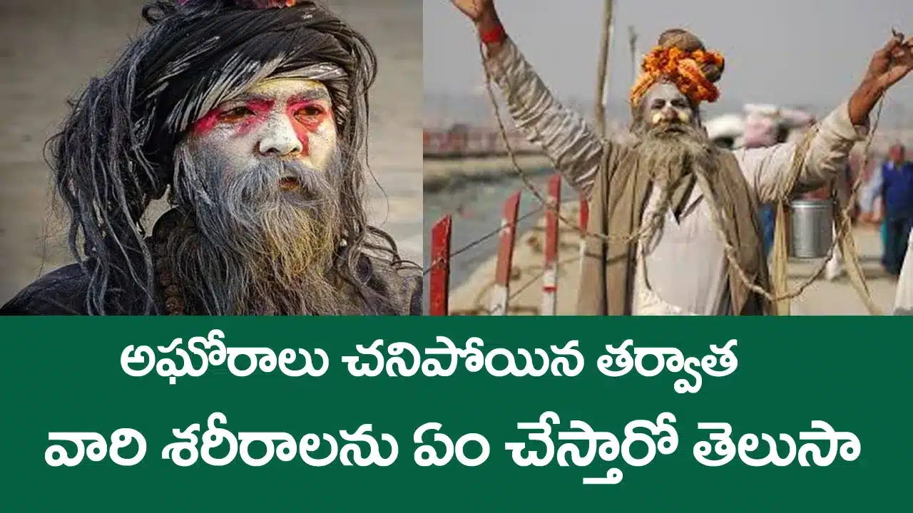 aghori garudanetram