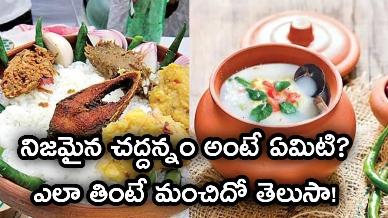 chadannam benfits (2)