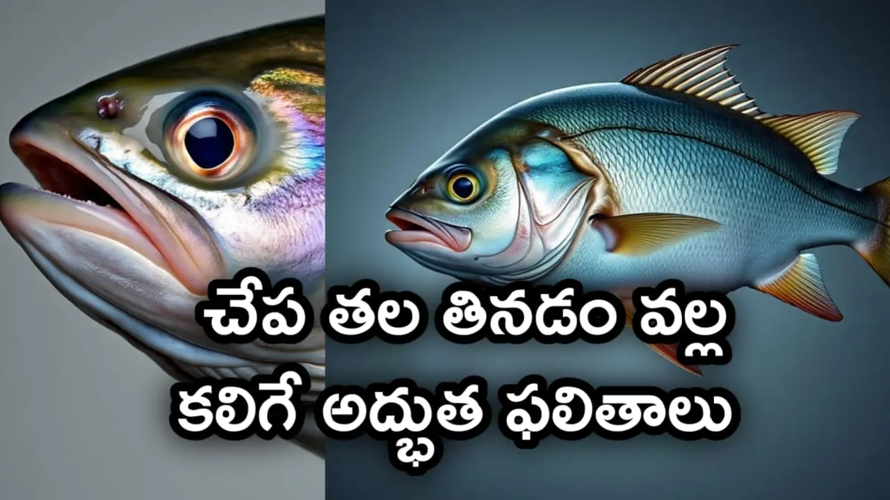 fish head